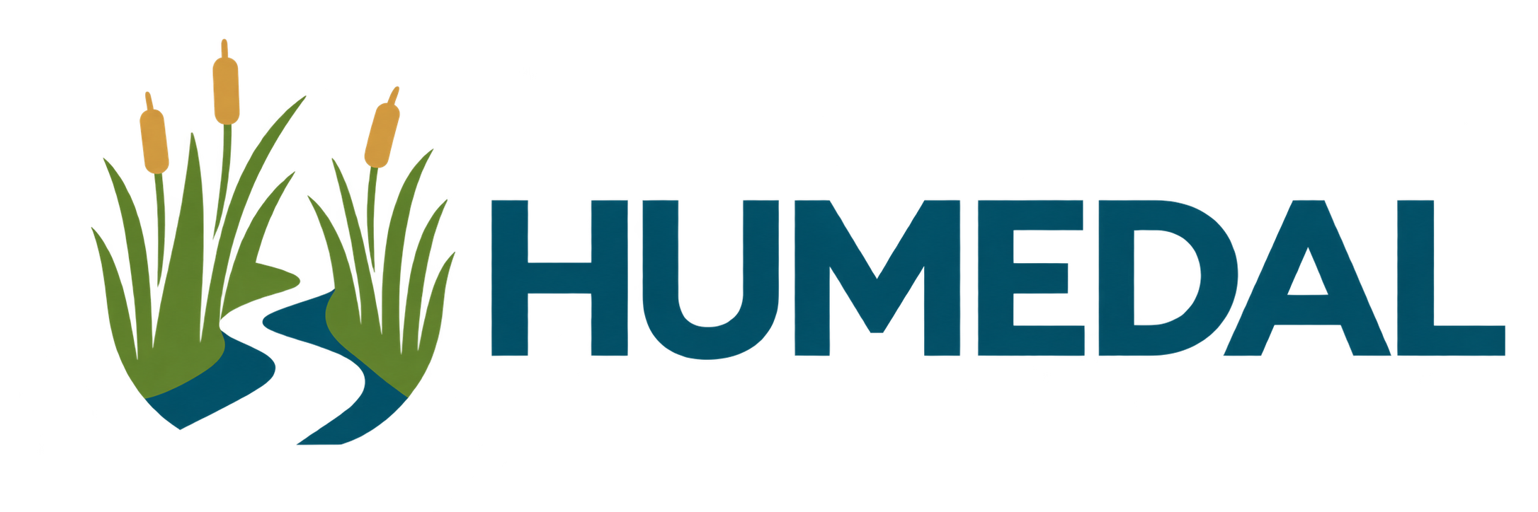 Humedal